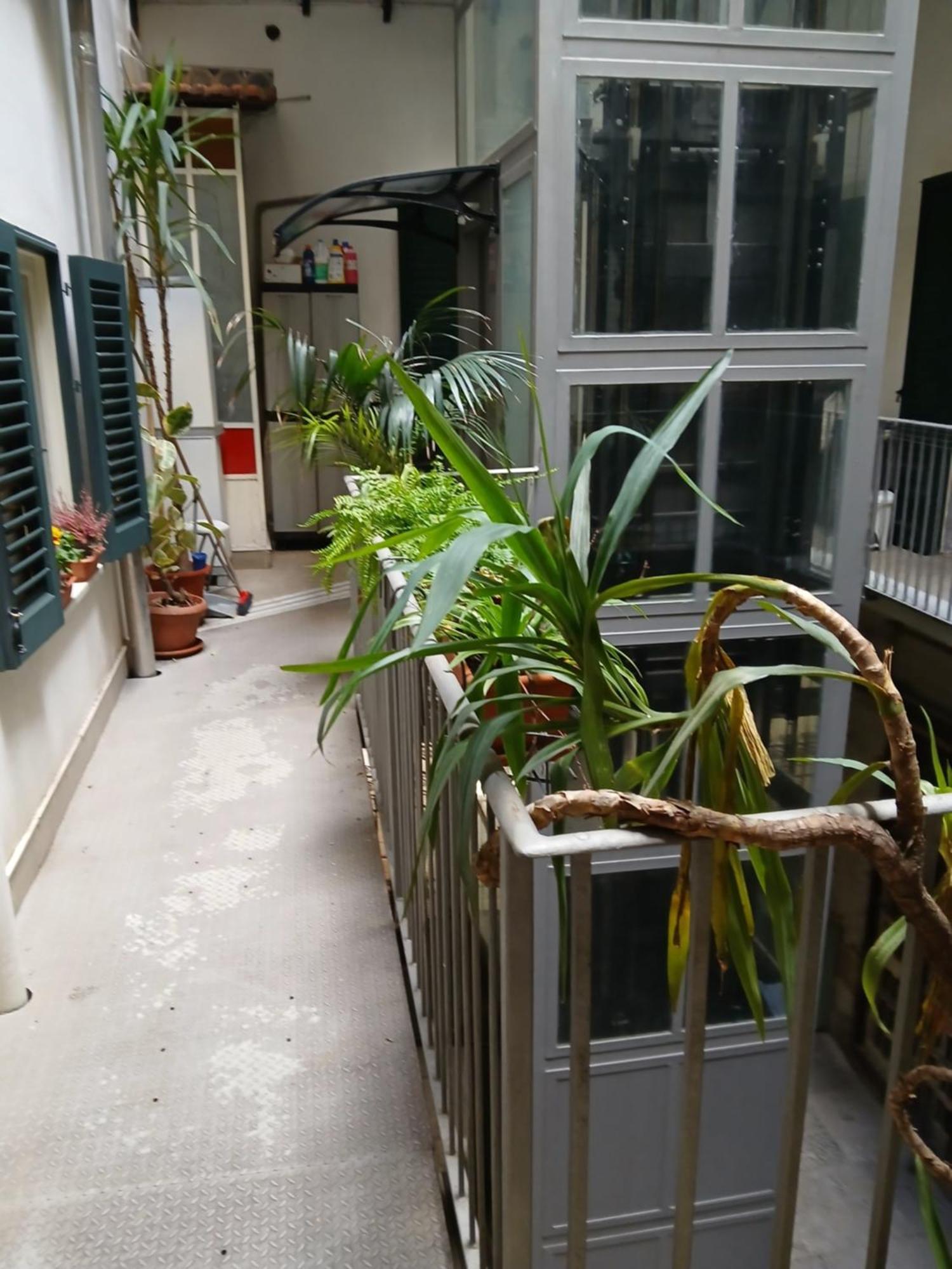 卡萨德哥艺术住宿加早餐酒店 巴勒莫 外观 照片